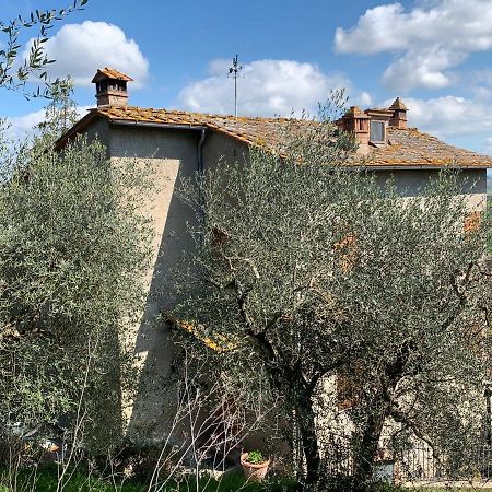 Tranquillita E Relax Vicino A Siena Βίλα Rosia Εξωτερικό φωτογραφία
