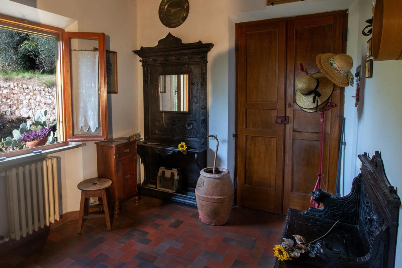 Tranquillita E Relax Vicino A Siena Βίλα Rosia Εξωτερικό φωτογραφία